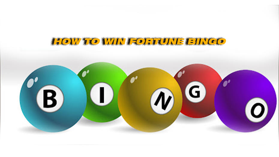 How to win Fortune Bingo