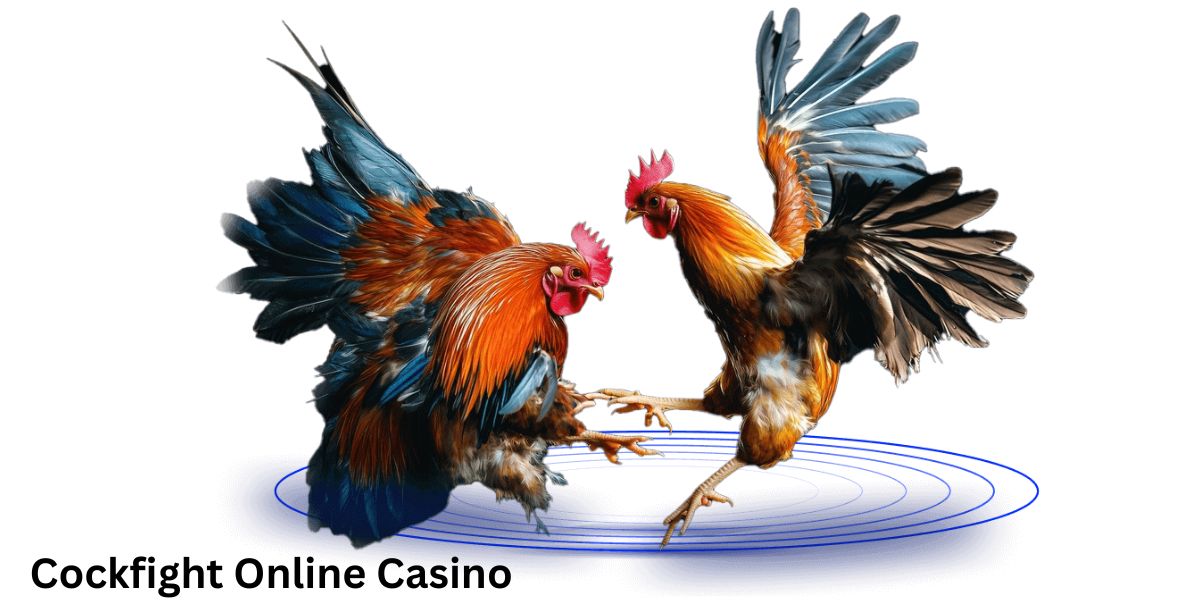 Cock Fight Online Casino